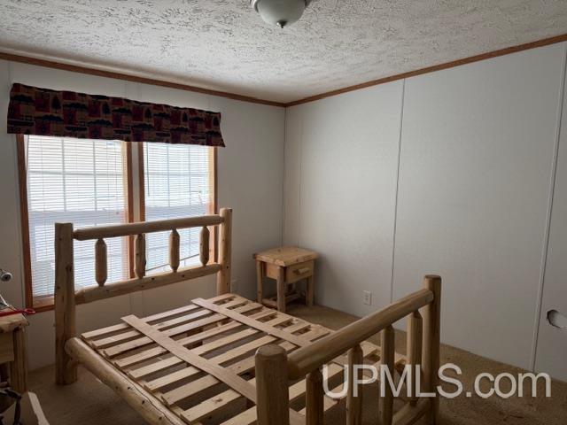 W9168 Town Corner Lake Road Pembine, WI 54156 - Photo 6 of 17