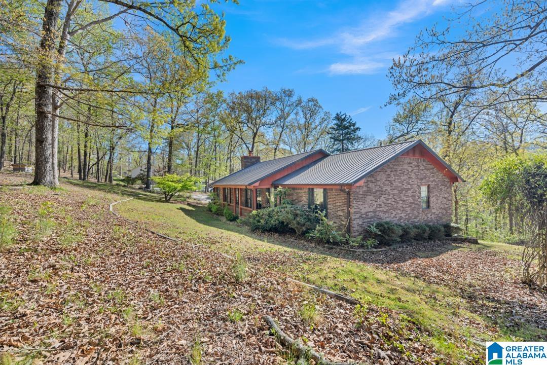 226 Tiny Kingdom Road Remlap, AL 35133 - Photo 4 of 32