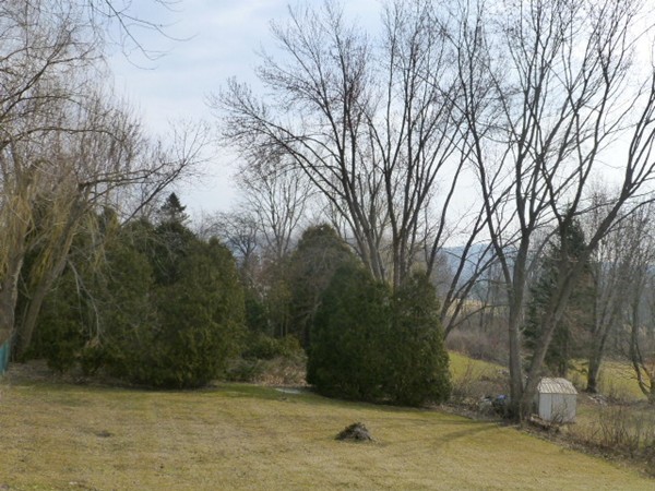 57 Florence Road Easthampton, MA 01027 - Photo 3 of 29 a view of a yard