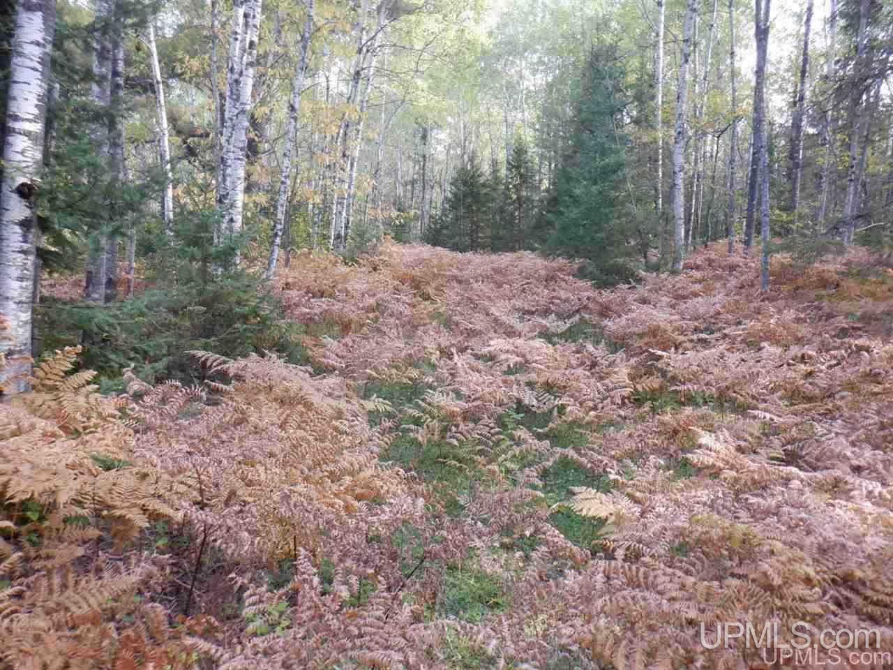 Tbd Bone Lake Road Amasa, MI 49903 - Photo 19 of 29