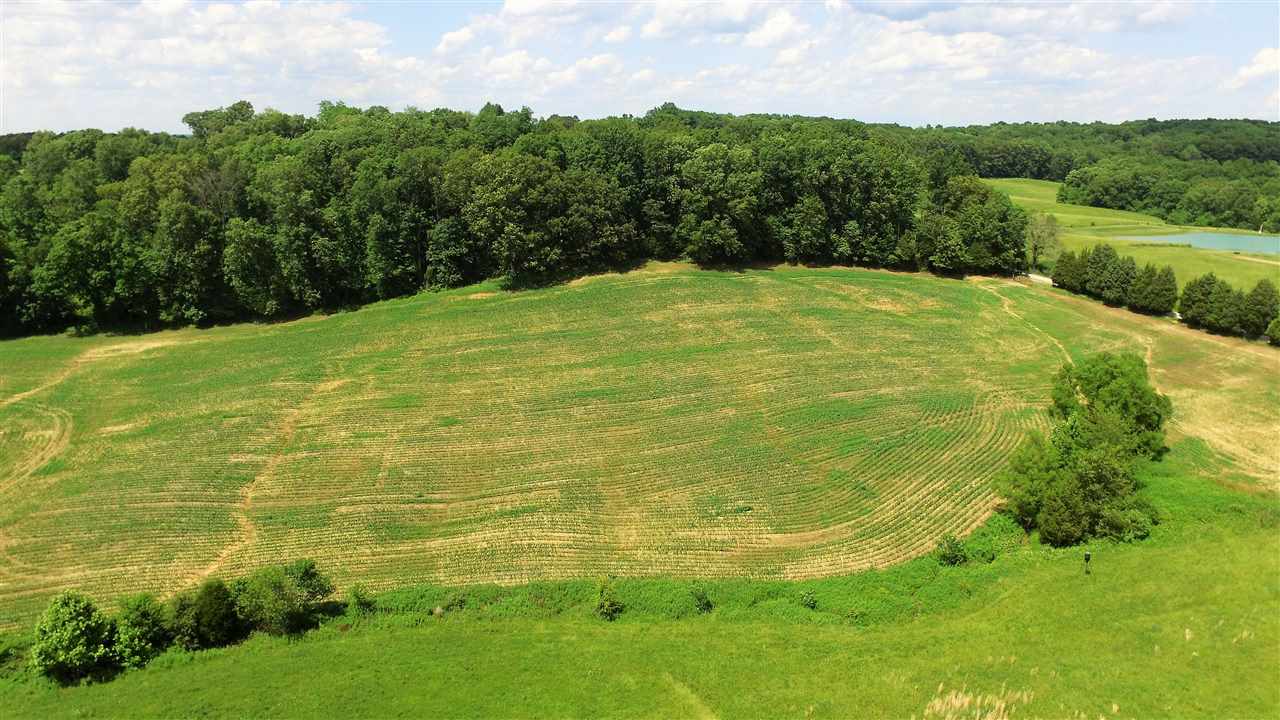 Rama Dye/max Warren Road Shoals, IN 47581 - Photo 1 of 10