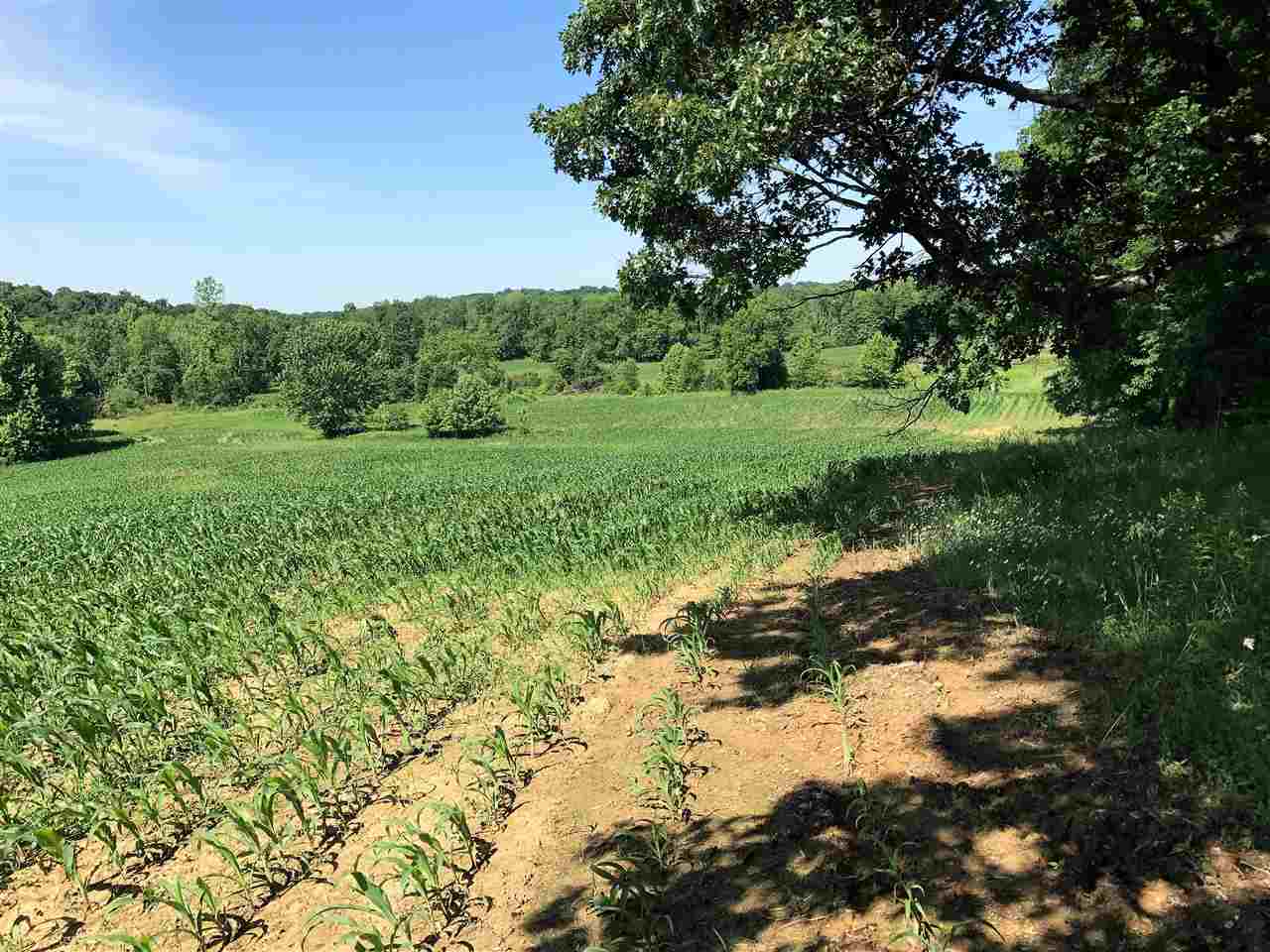 Rama Dye/max Warren Road Shoals, IN 47581 - Photo 8 of 10