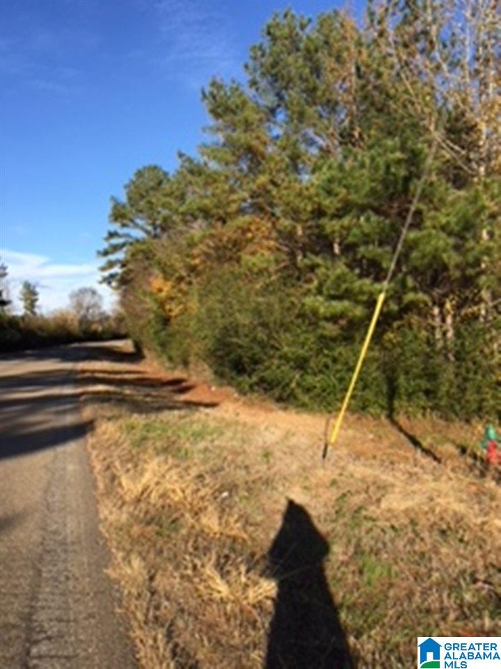 0 Jackson Trace Road, Unit 1 Lincoln, AL 35096 - Photo 2 of 5