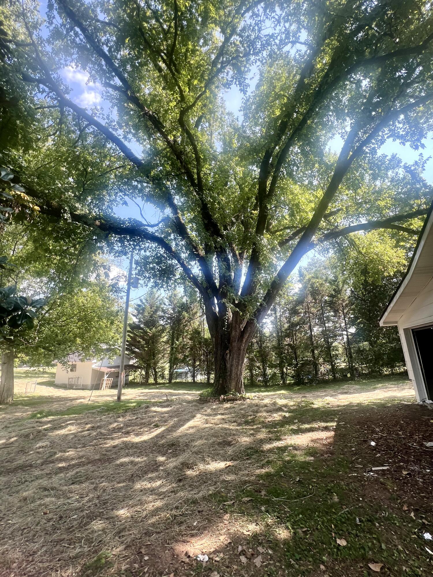 354 Burning Bush Road Ringgold, GA 30736 - Photo 41 of 49 Tons of shade!