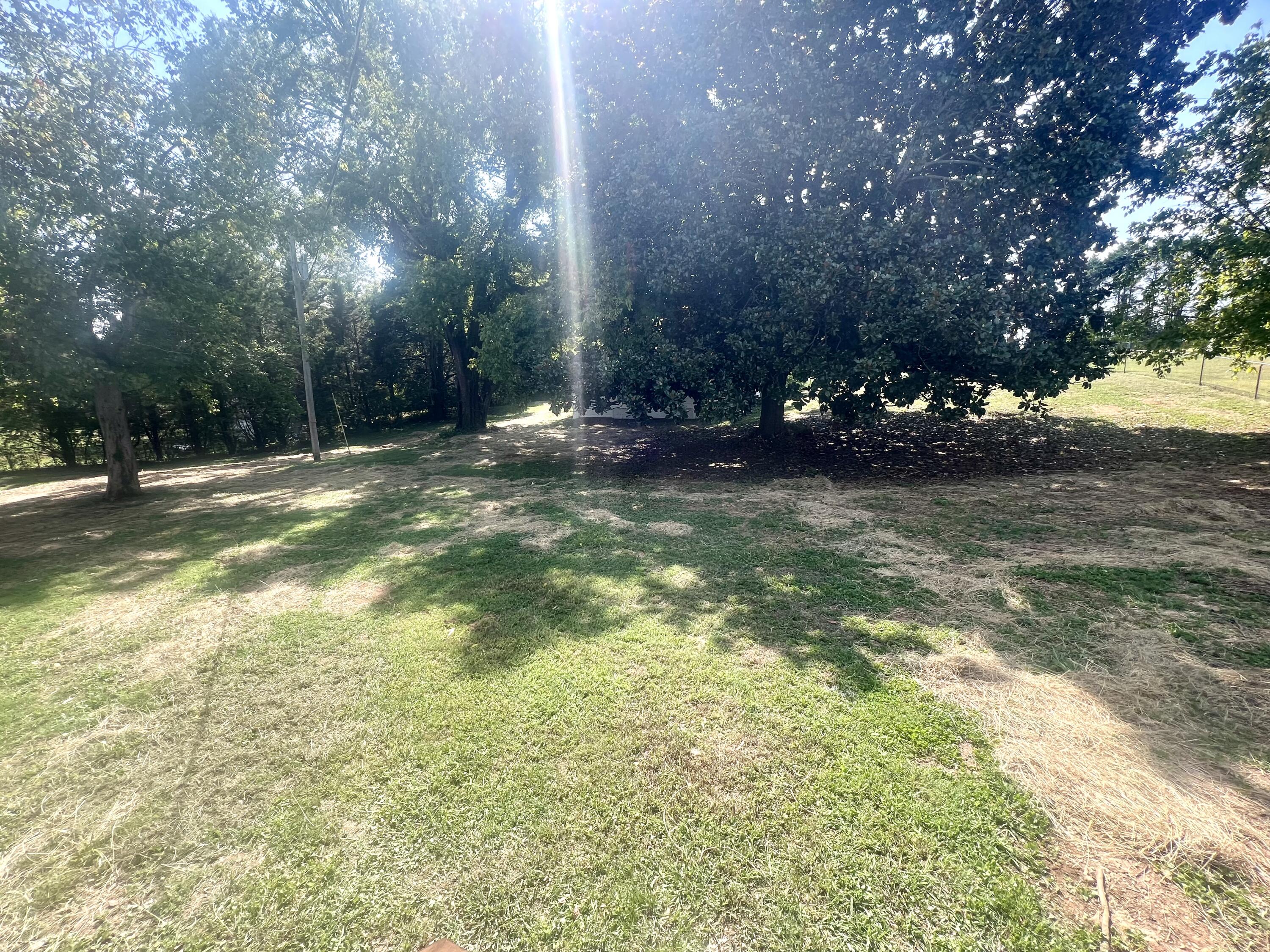 354 Burning Bush Road Ringgold, GA 30736 - Photo 44 of 49 Large level yard