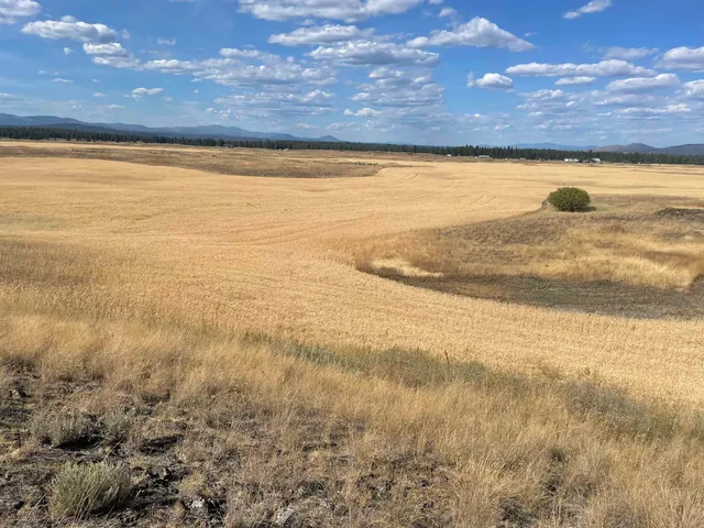 $120,000 | 35251 Crescent N Road, Unit PARCEL 3, Reardan, WA 99029