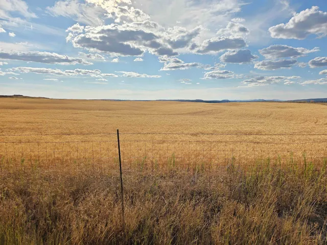 $120,000 | 35251 Crescent N Road, Unit PARCEL 3, Reardan, WA 99029