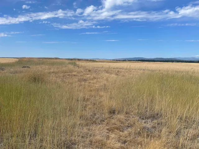 $120,000 | 35251 Crescent N Road, Unit PARCEL 3, Reardan, WA 99029