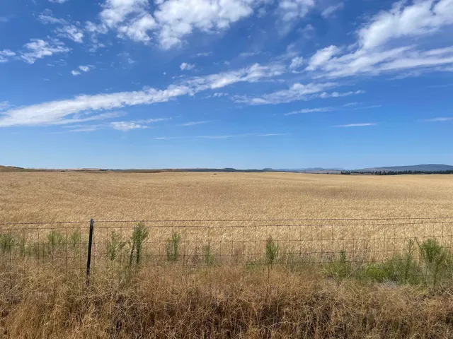 $120,000 | 35251 Crescent N Road, Unit PARCEL 3, Reardan, WA 99029