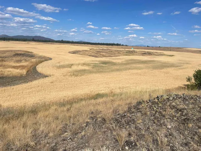 $120,000 | 35251 Crescent N Road, Unit PARCEL 3, Reardan, WA 99029