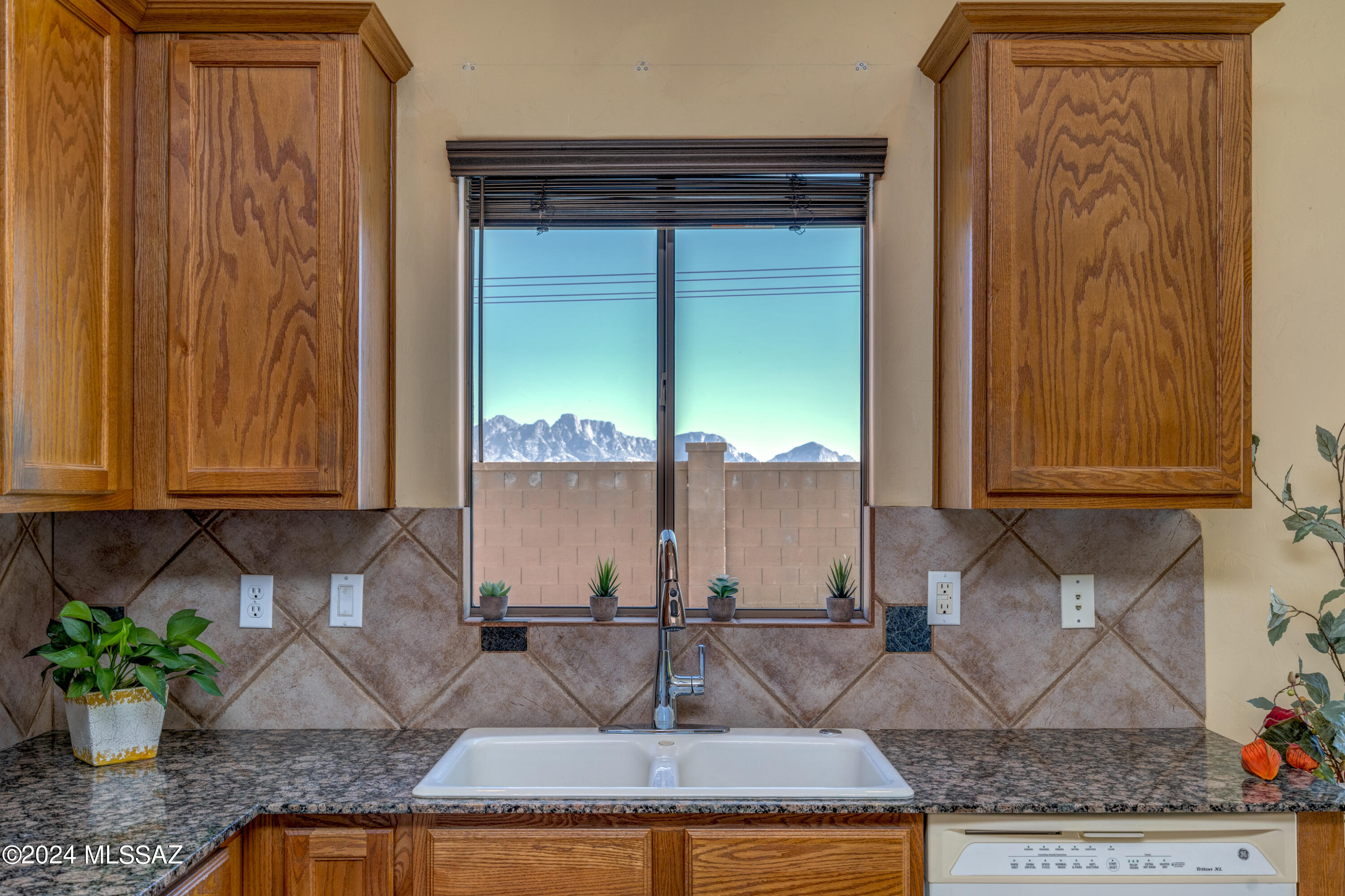 40148 Ridgeline Court Tucson, AZ 85739 - Photo 16 of 50