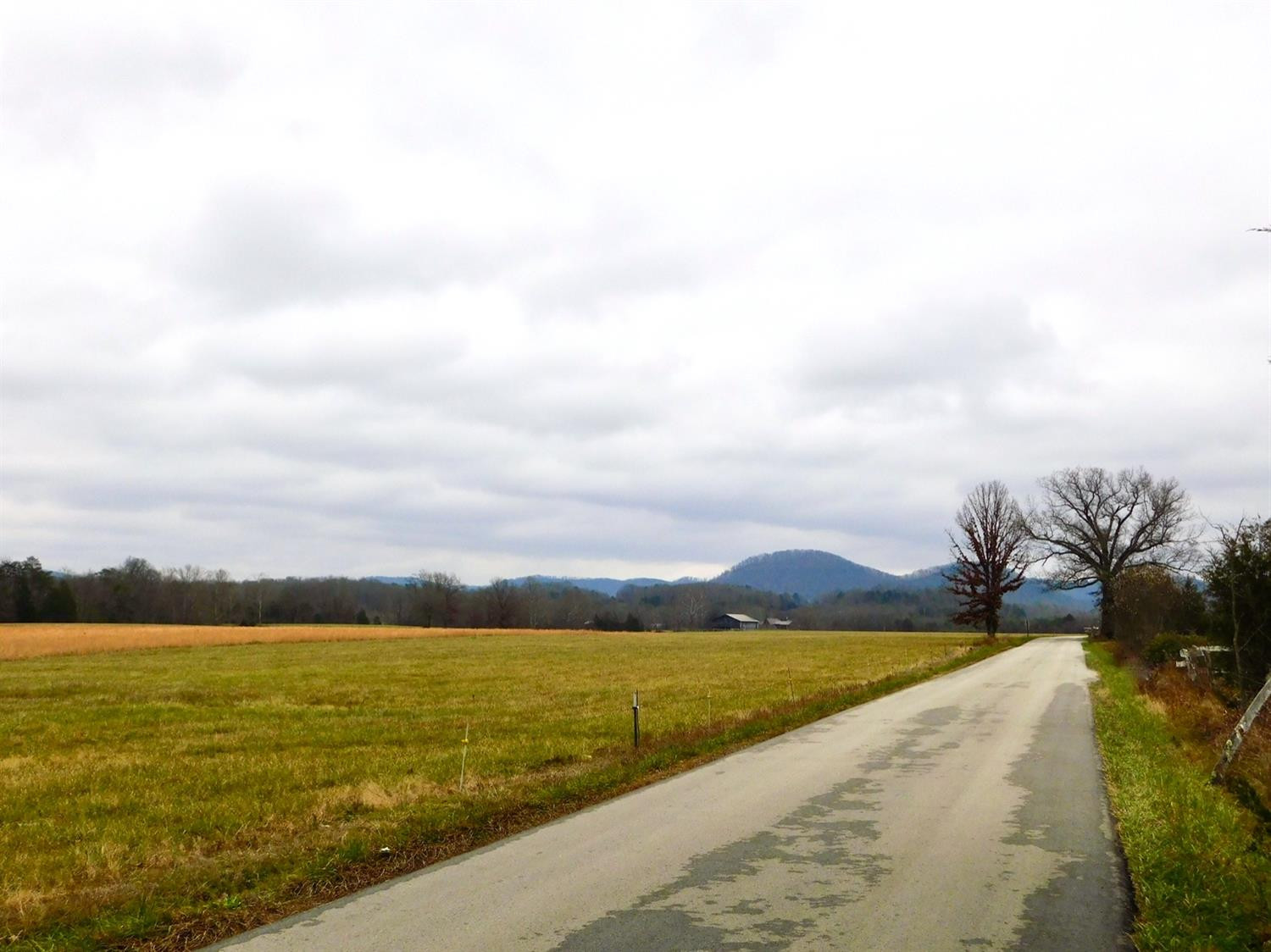 1121 Low Gap Road Irvine, KY 40336 - Photo 9 of 10 Photo 9