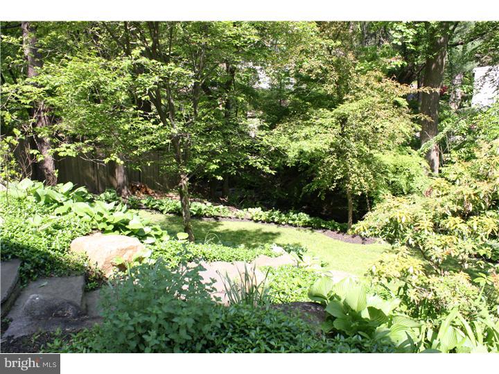 210 Biddulph Road Wayne, PA 19087 - Photo 19 of 25 Back Yard