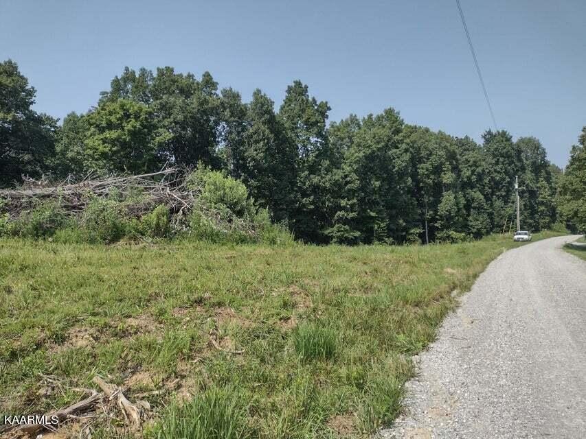 864 Taylor Road Pikeville, TN 37367 - Photo 2 of 9 Gallery Image 2