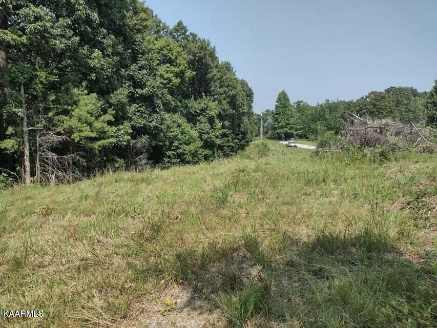 864 Taylor Road Pikeville, TN 37367 - Photo 3 of 9 Gallery Image 3