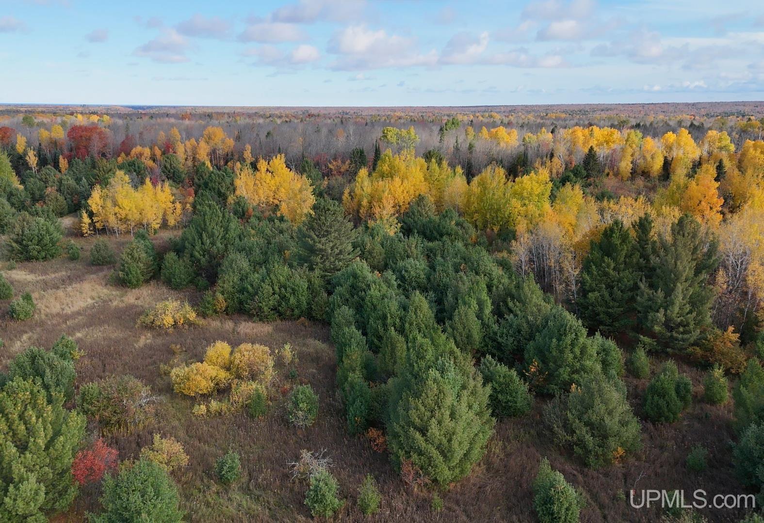 Tbdc20 South Firesteel Road Ontonagon, MI 49953 - Photo 5 of 11