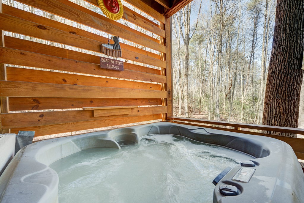 196 Mossy Rock Lane Ellijay, GA 30540 - Photo 58 of 93