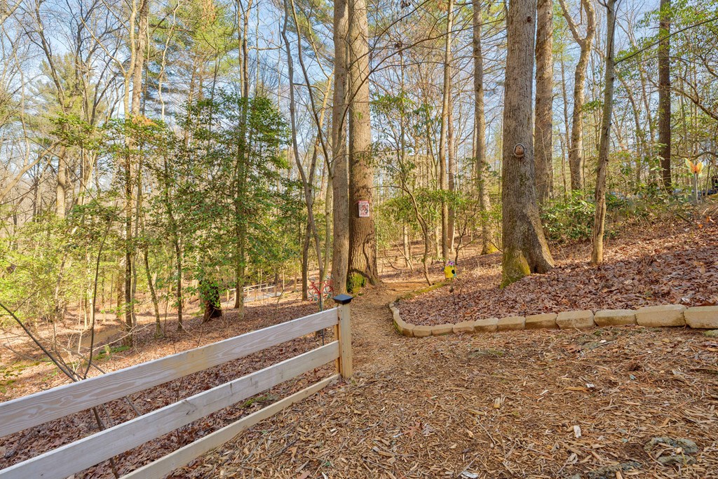 196 Mossy Rock Lane Ellijay, GA 30540 - Photo 64 of 93