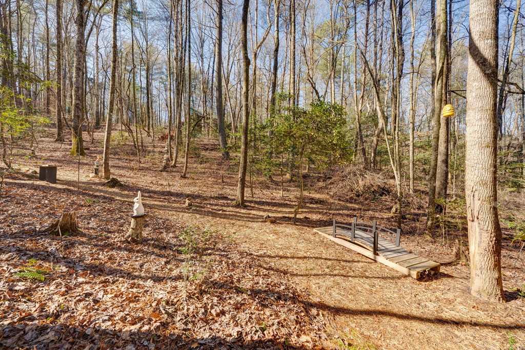 196 Mossy Rock Lane Ellijay, GA 30540 - Photo 65 of 93