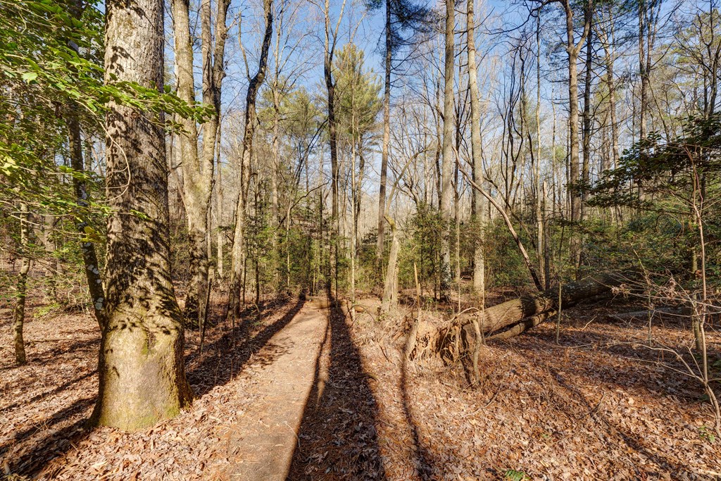 196 Mossy Rock Lane Ellijay, GA 30540 - Photo 66 of 93