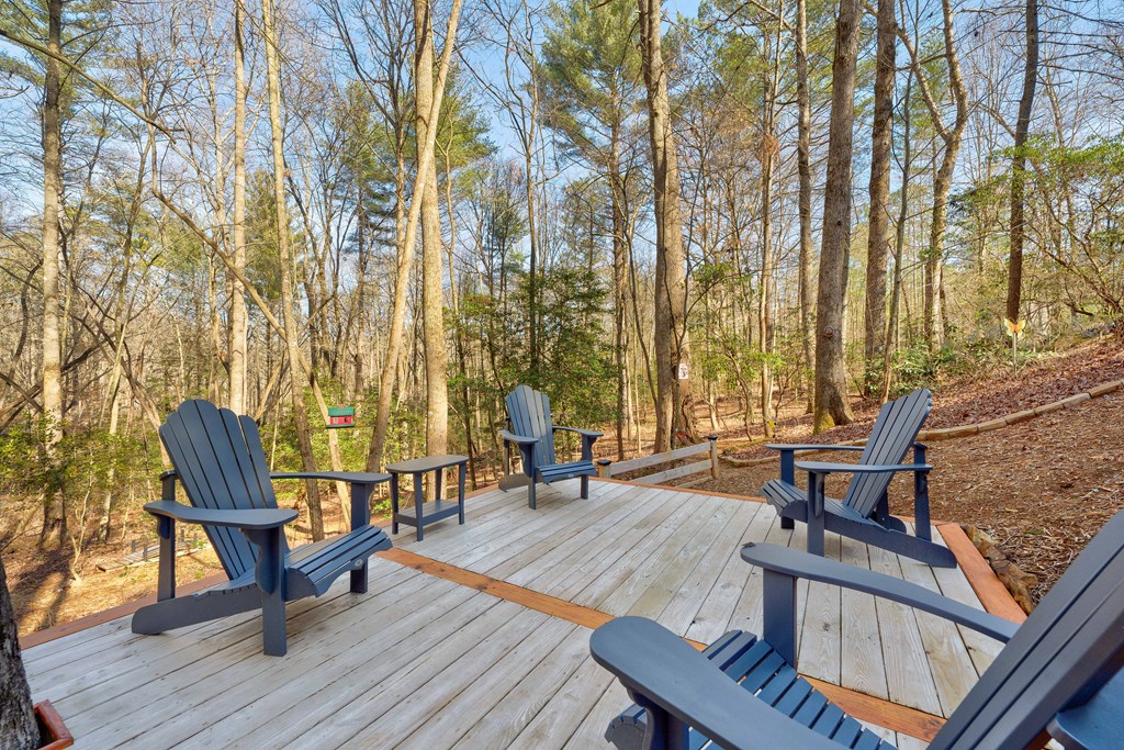 196 Mossy Rock Lane Ellijay, GA 30540 - Photo 72 of 93