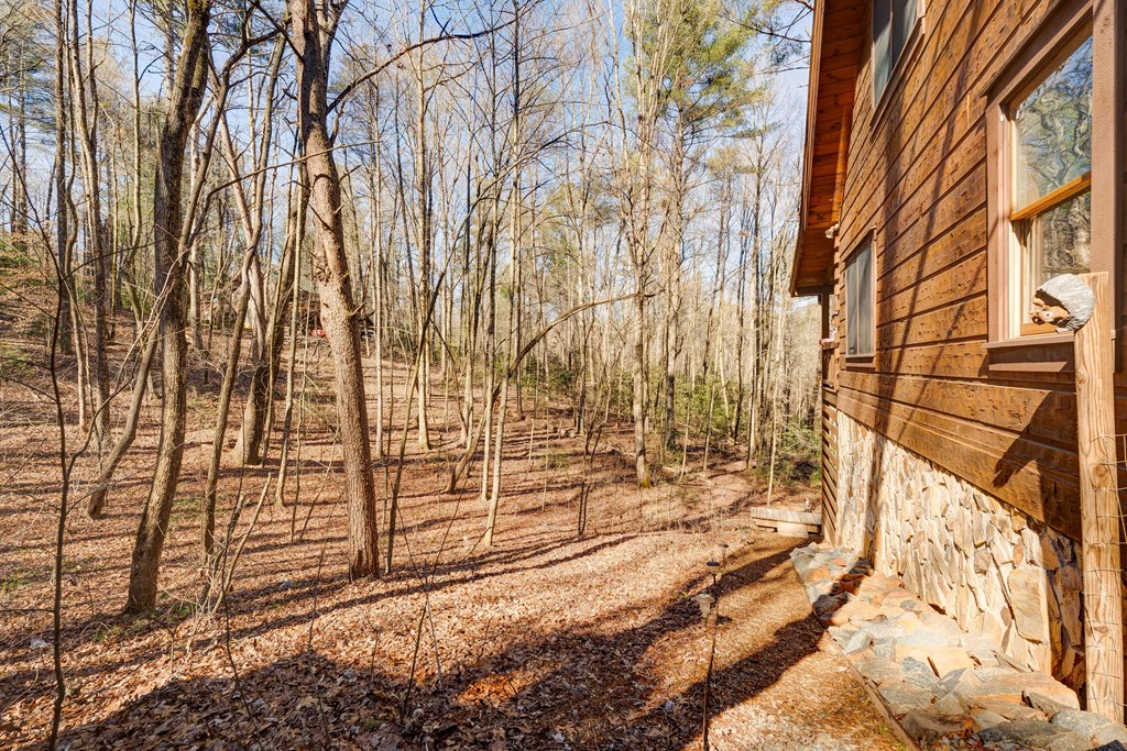 196 Mossy Rock Lane Ellijay, GA 30540 - Photo 80 of 93