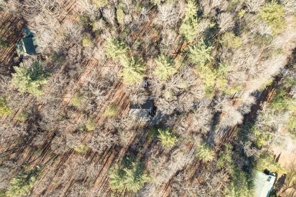 196 Mossy Rock Lane Ellijay, GA 30540 - Photo 89 of 93