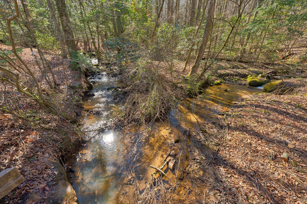 196 Mossy Rock Lane Ellijay, GA 30540 - Photo 91 of 93