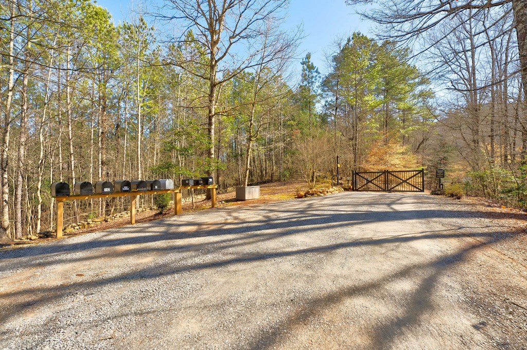 196 Mossy Rock Lane Ellijay, GA 30540 - Photo 92 of 93