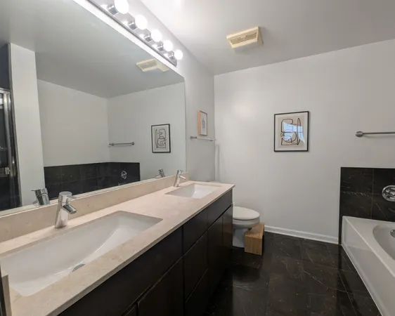 $2,900 | 1134 West Granville Avenue, Unit 1117, Chicago, IL 60660