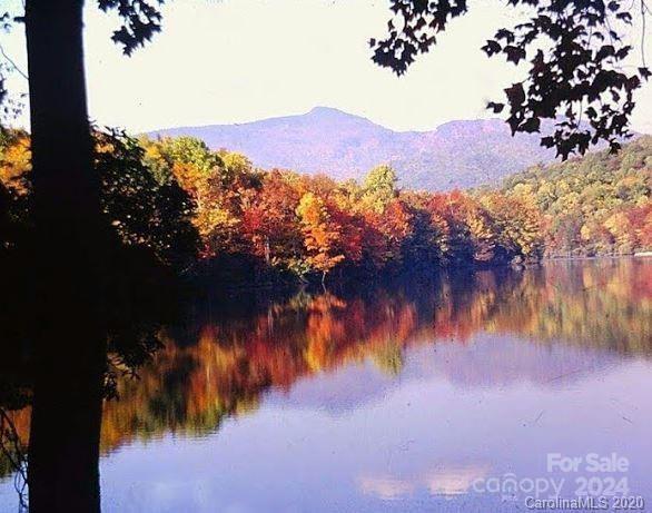 2020 Walker Road, Unit 1 AND 2 Nebo, NC 28761 - Photo 3 of 14 Gallery Image 3