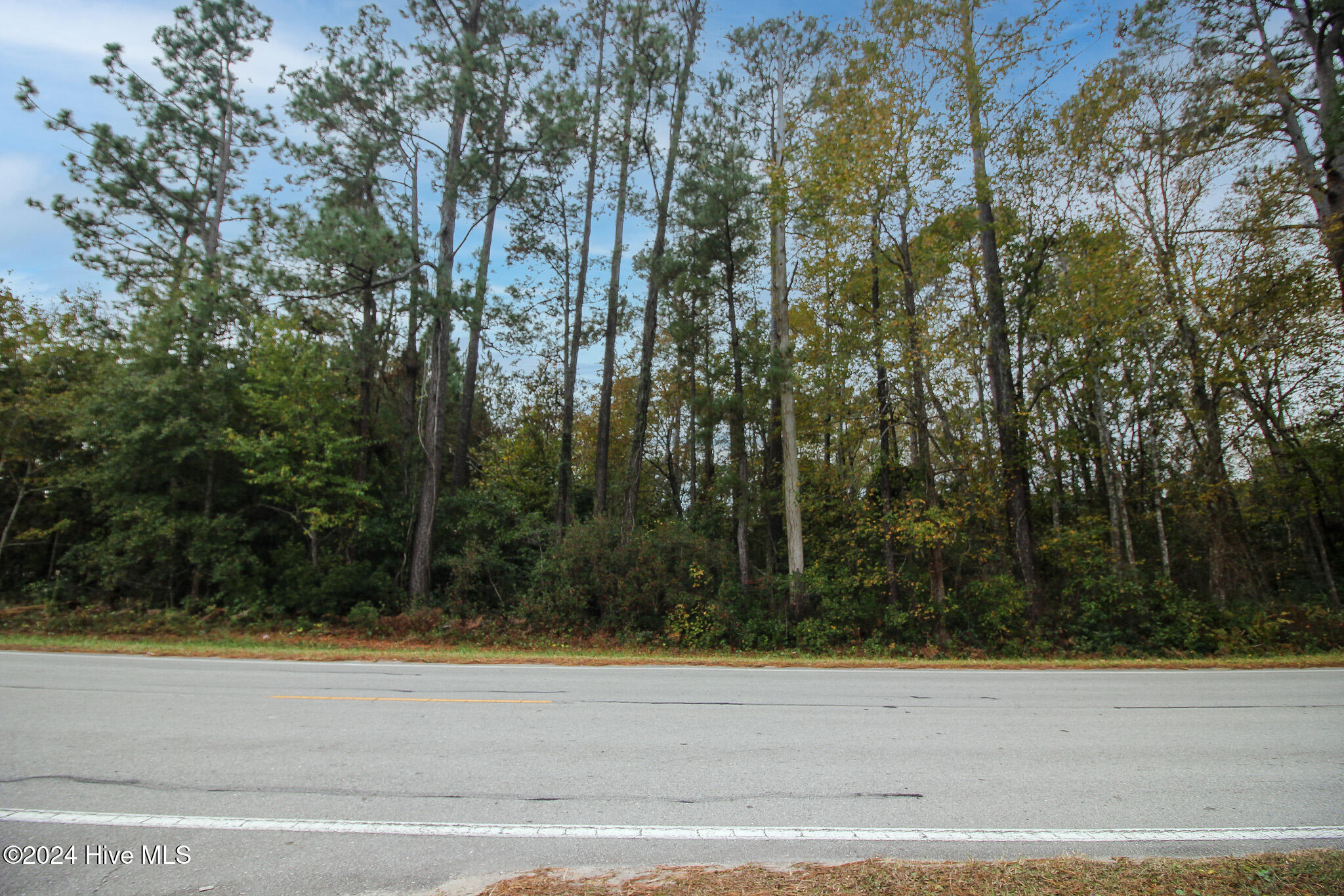 861 Roberts Road Newport, NC 28570 - Photo 5 of 8 IMG_5455-Edit