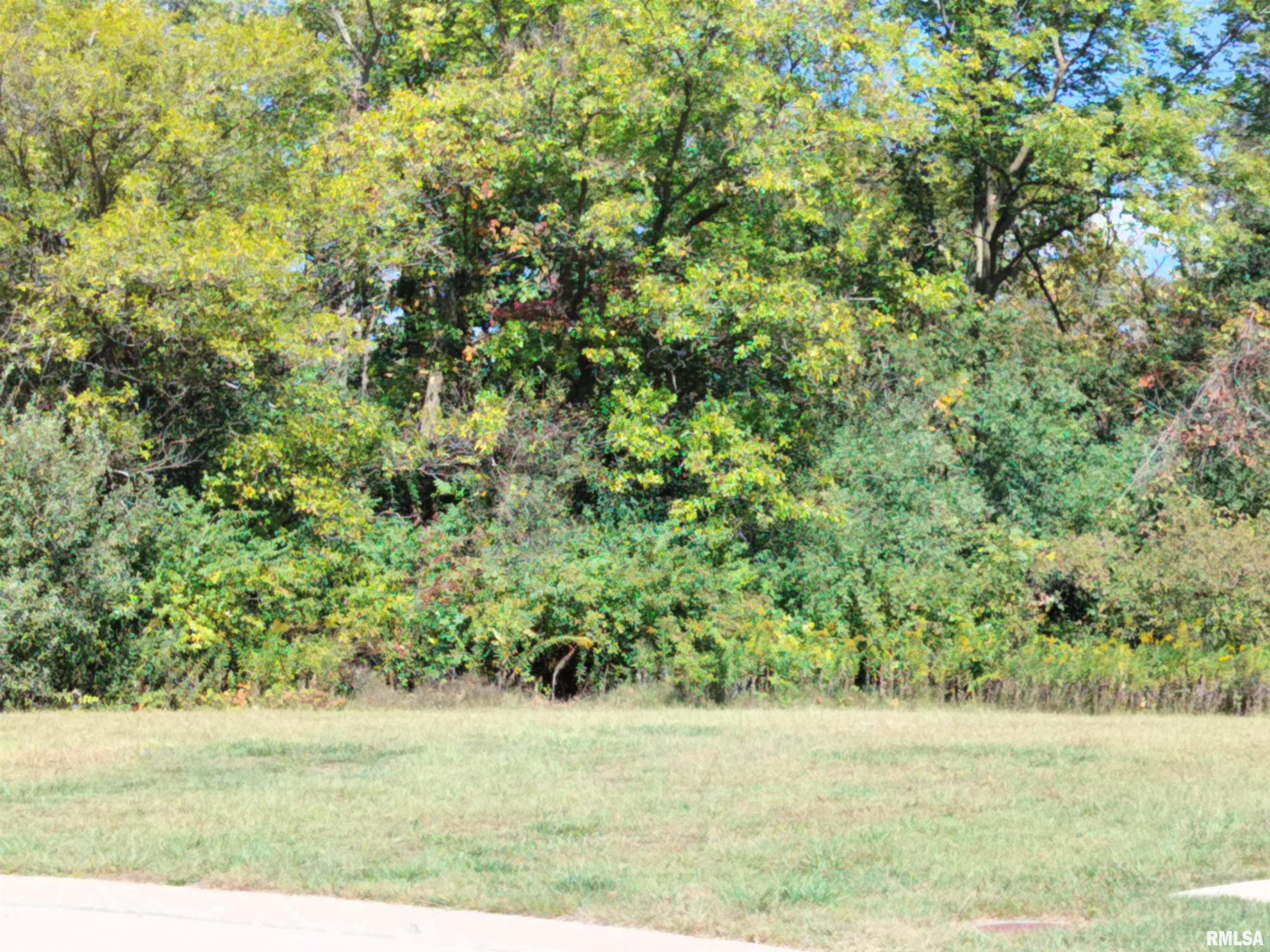 114 Samuel Court Washington, IL 61571 - Photo 1 of 1