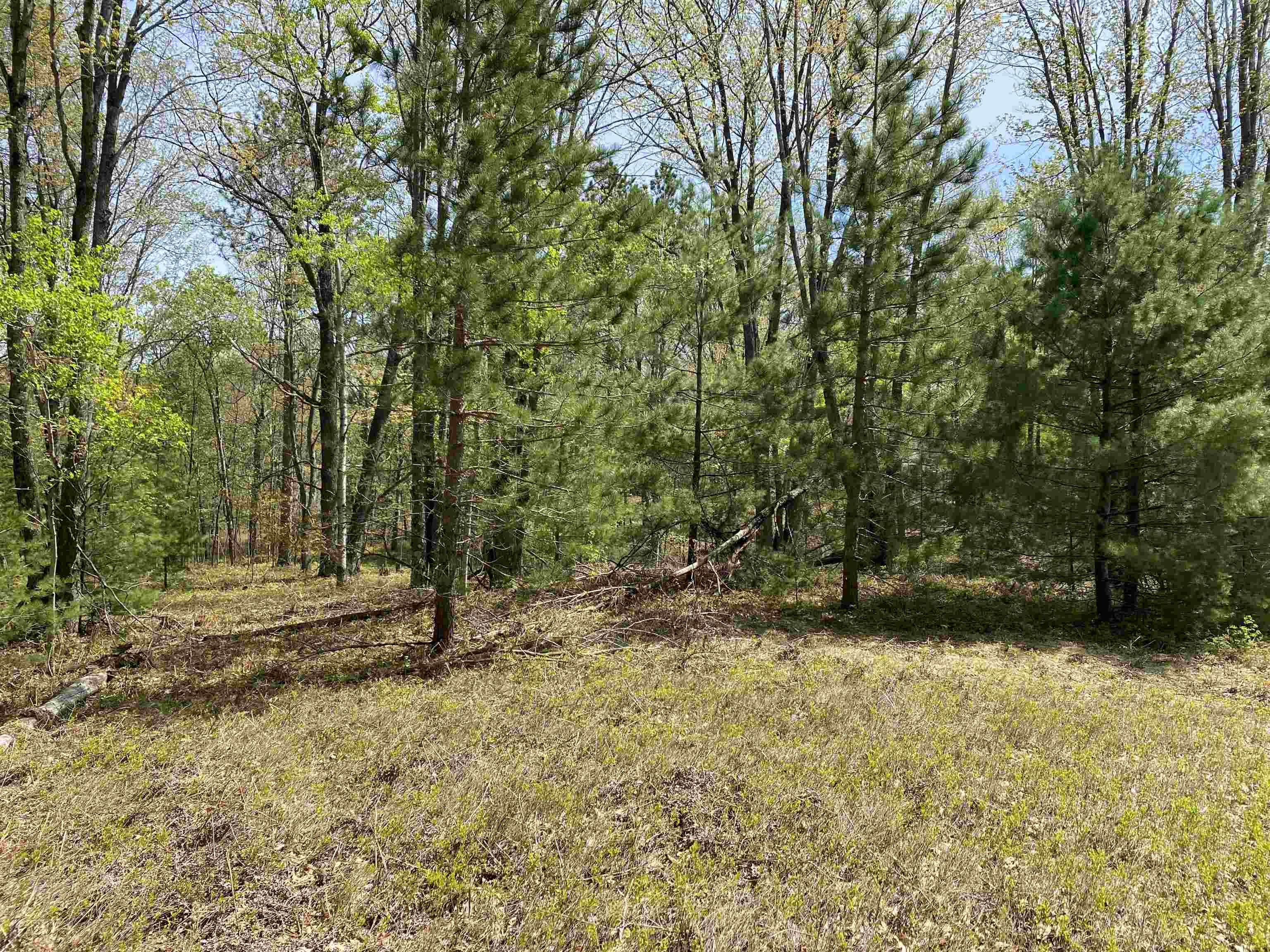 47 South 47 3/4 Road, Unit FOREST DRIVE LOT: 4 Cadillac, MI 49601 - Photo 6 of 14