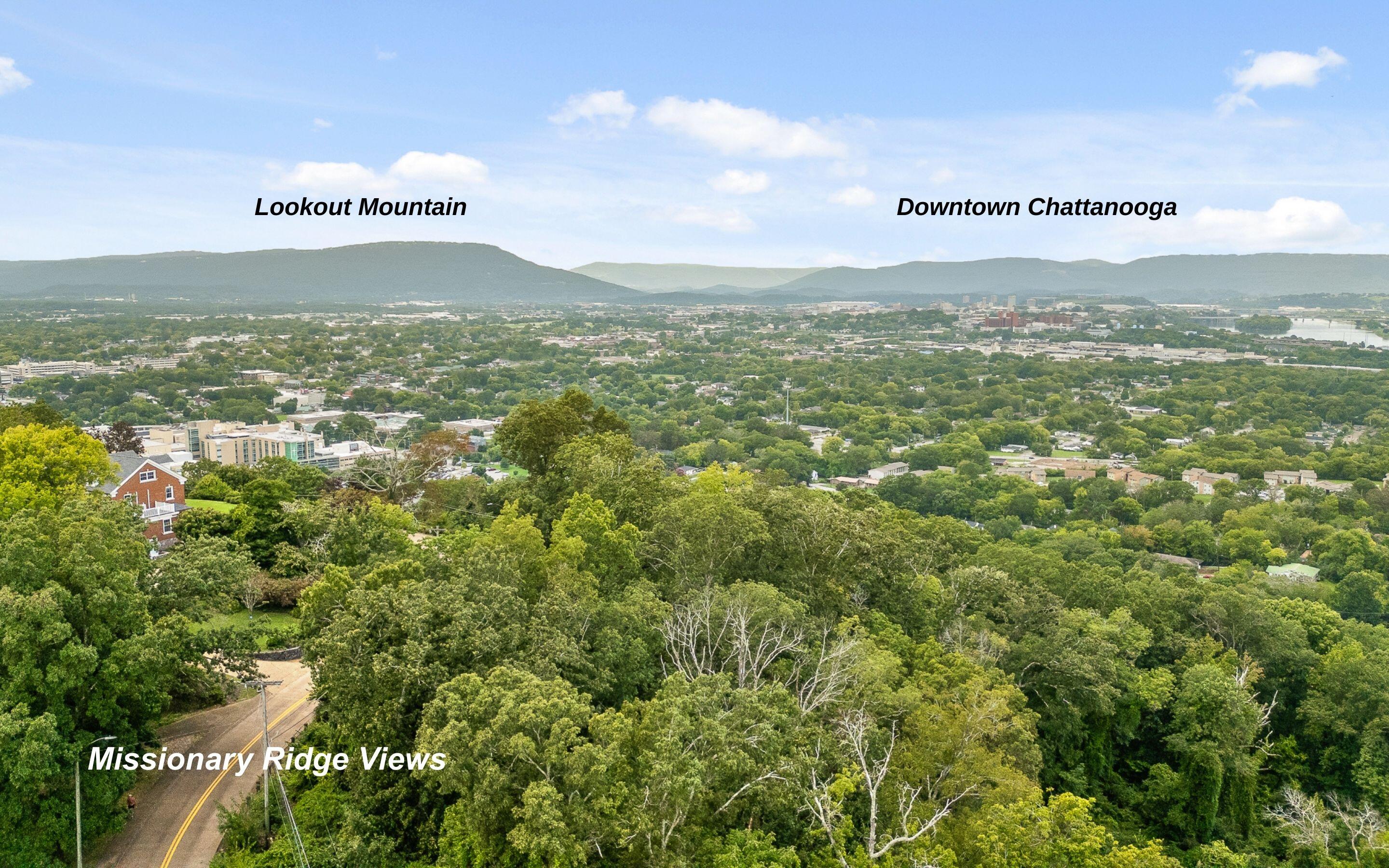 258 North Crest Road Chattanooga, TN 37404 - Photo 7 of 20 Missionary Ridge Beauty