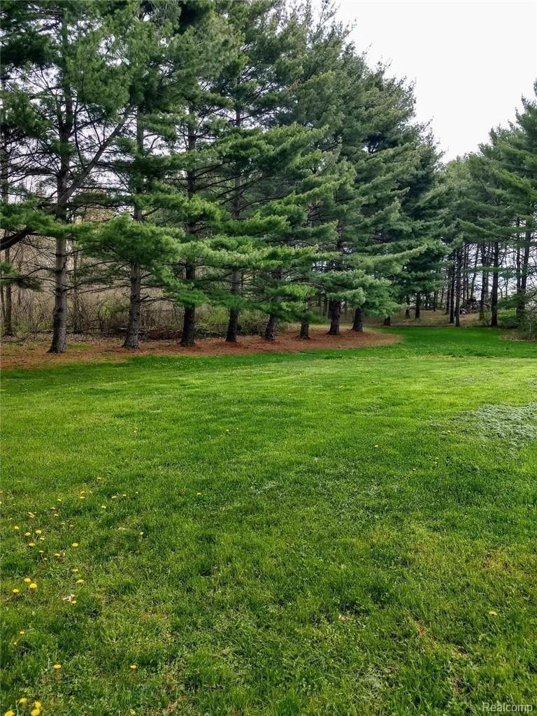 6199 Bergin Road Howell, MI 48843 - Photo 6 of 30 tv - Copy.jpg