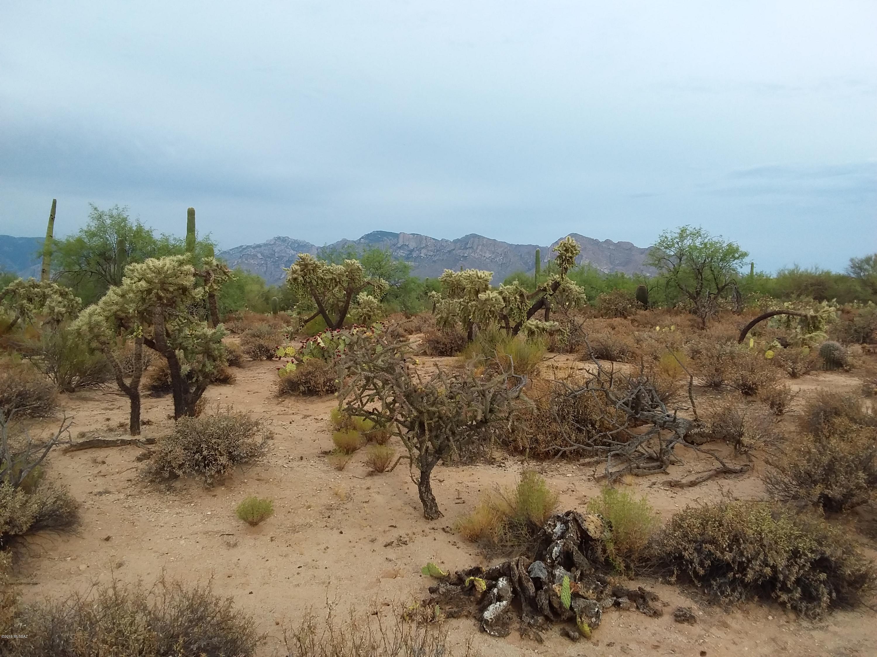 2315 West Tangerine Road Tucson, AZ 85742 - Photo 10 of 27