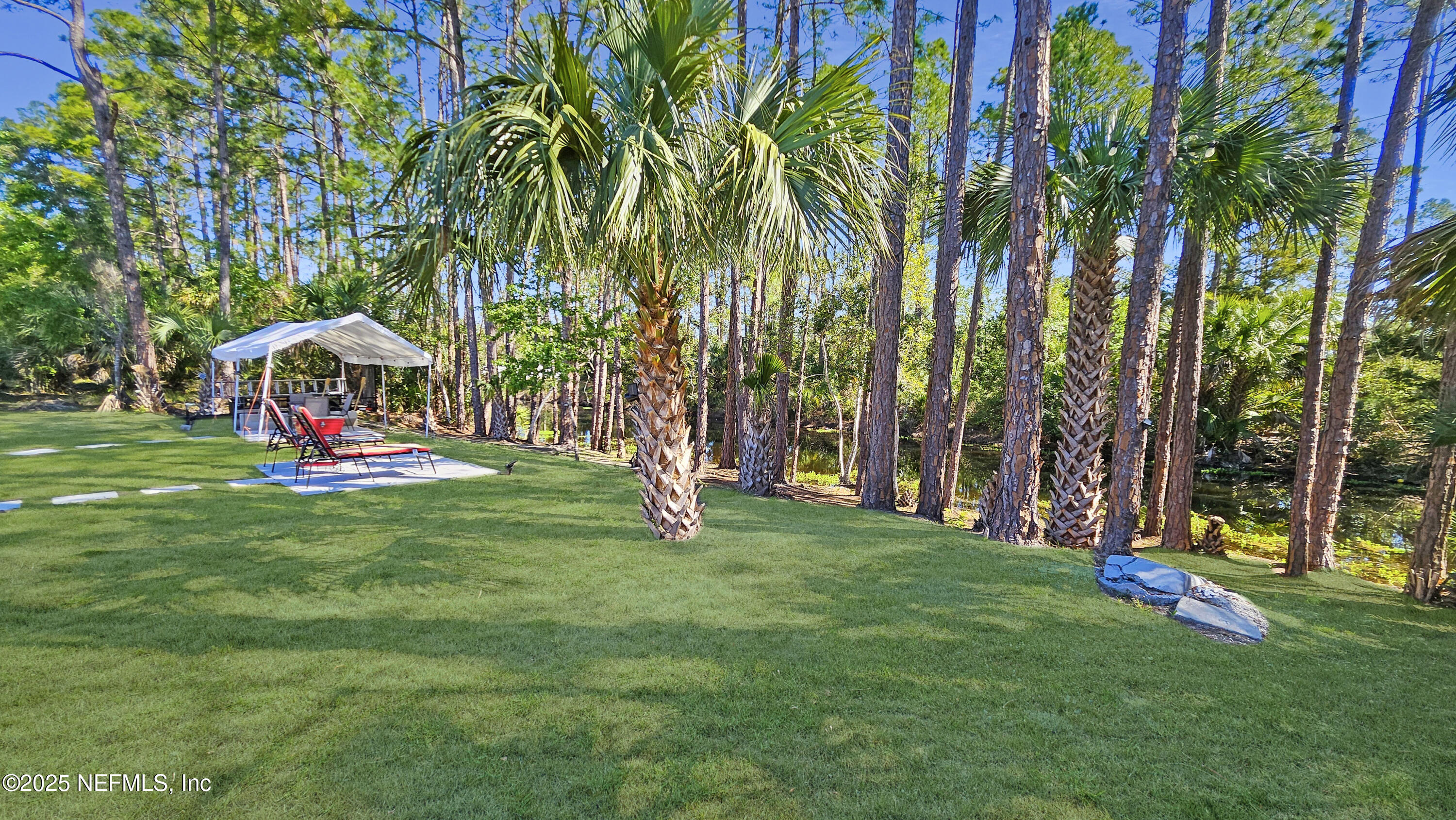 7 Smith Trail Palm Coast, FL 32164 - Photo 39 of 48 a view of a park with large trees
