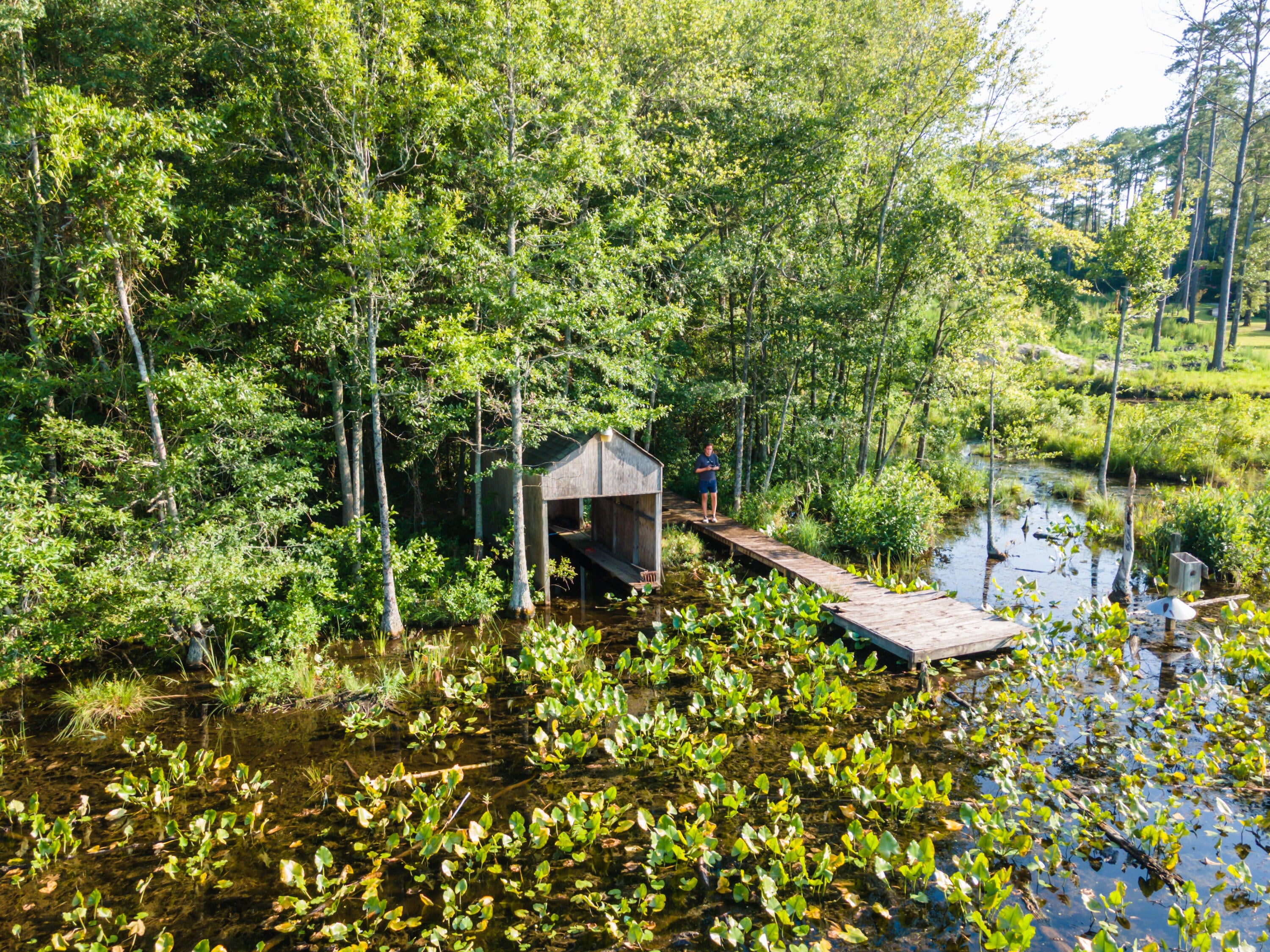 Tbd Edisto Lake Road, Unit 39 Wagener, SC 29164 - Photo 8 of 39 Gallery Image 8