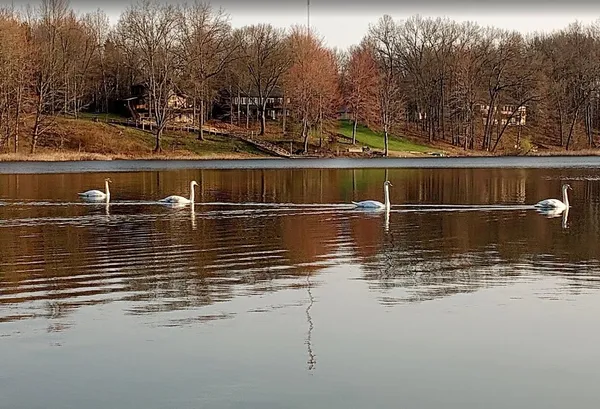 $479,000 | 598 Scotts Drive, Delton, MI 49046