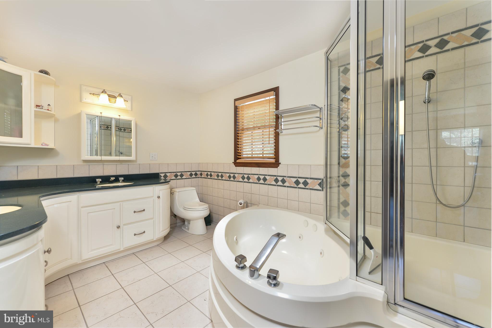 116 Riverside Drive Elkton, MD 21921 - Photo 19 of 24 Bath (Master)