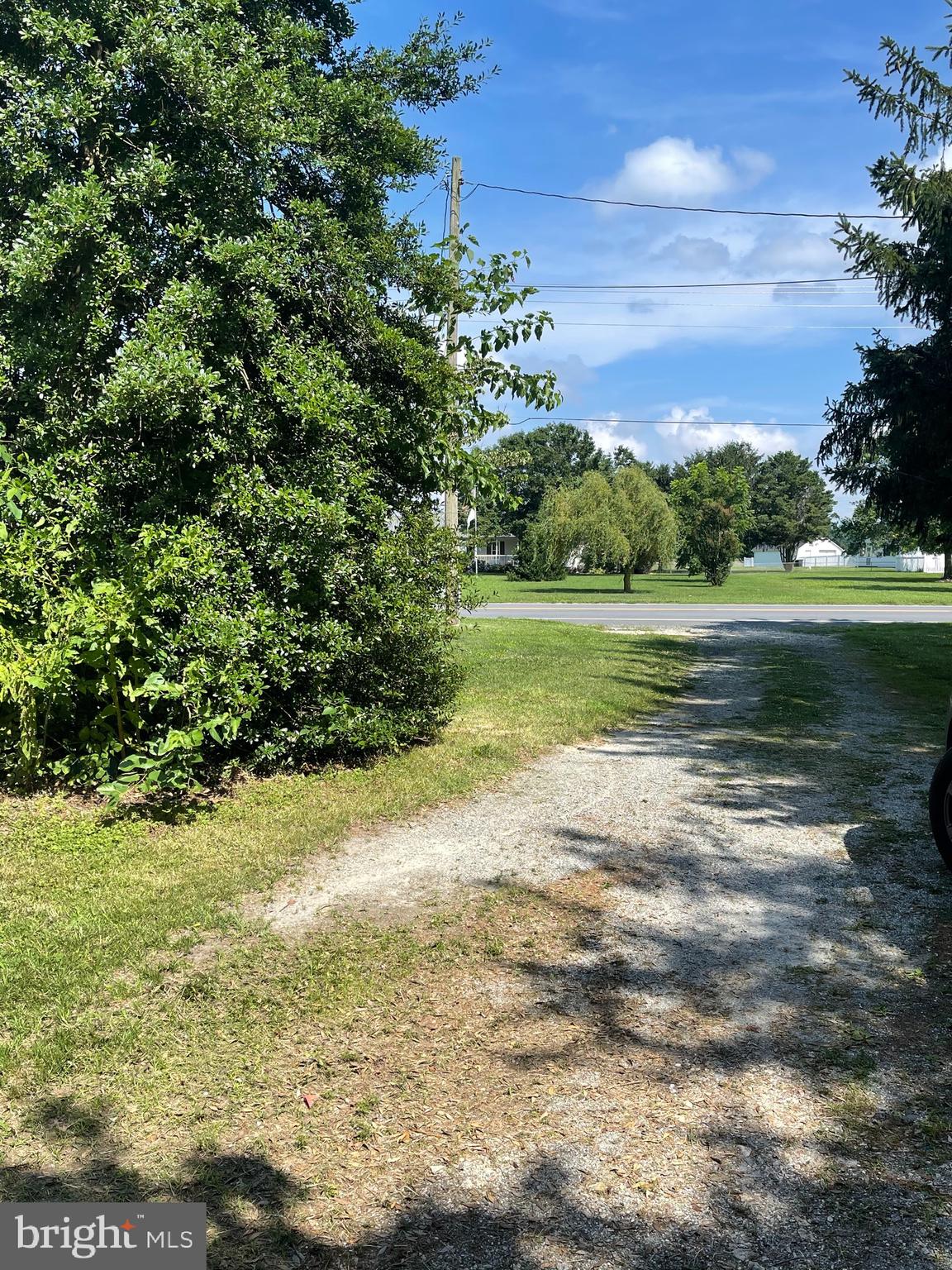 Driveway