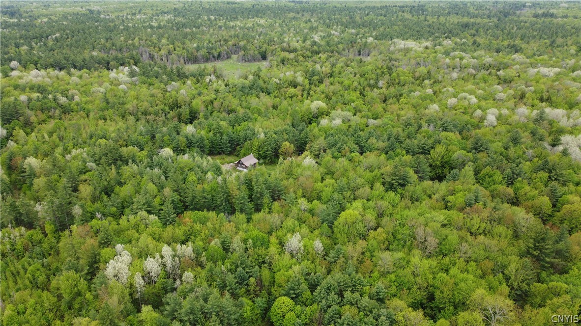 0 Cotton Road Carthage, NY 13619 - Photo 10 of 48
