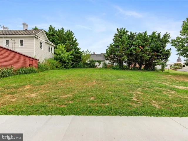 a view of a field with plants and large trees