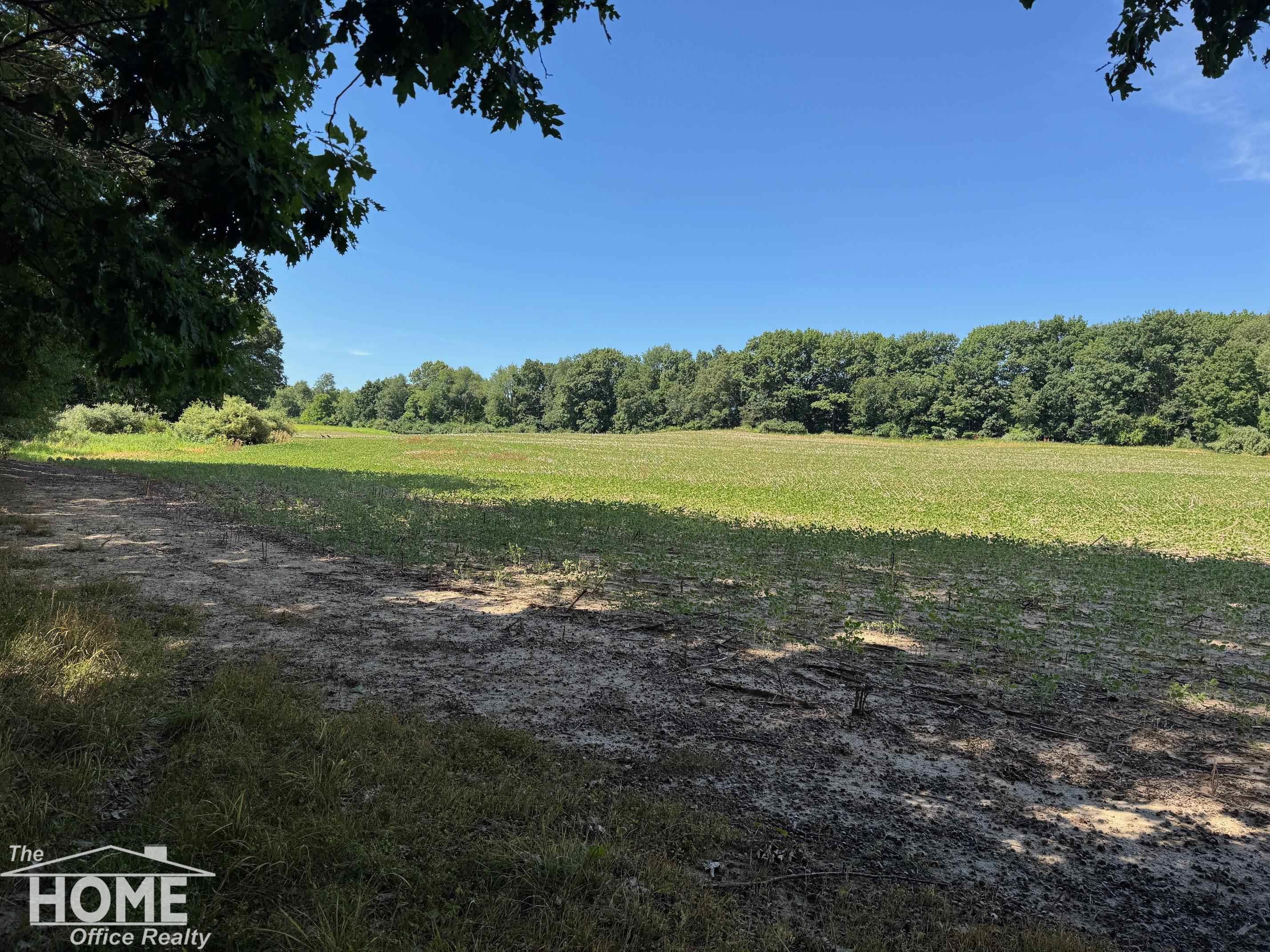 4818 Colby Road Owosso, MI 48867 - Photo 43 of 49 50183648-7e6f7aa9-d881-4c47-92c4-a80817d0e56a.JPG