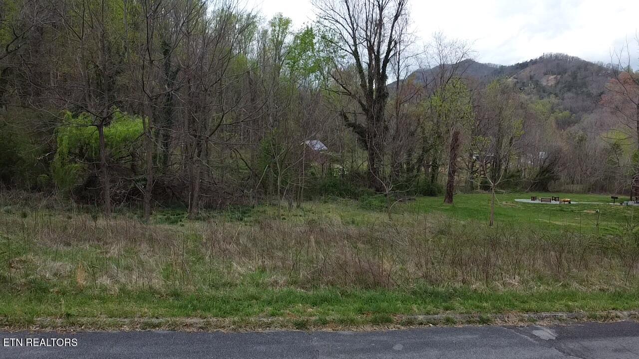 Lot 10 Thomas Headrick Road Sevierville, TN 37862 - Photo 1 of 6 2025-04-03-11-08-06-536