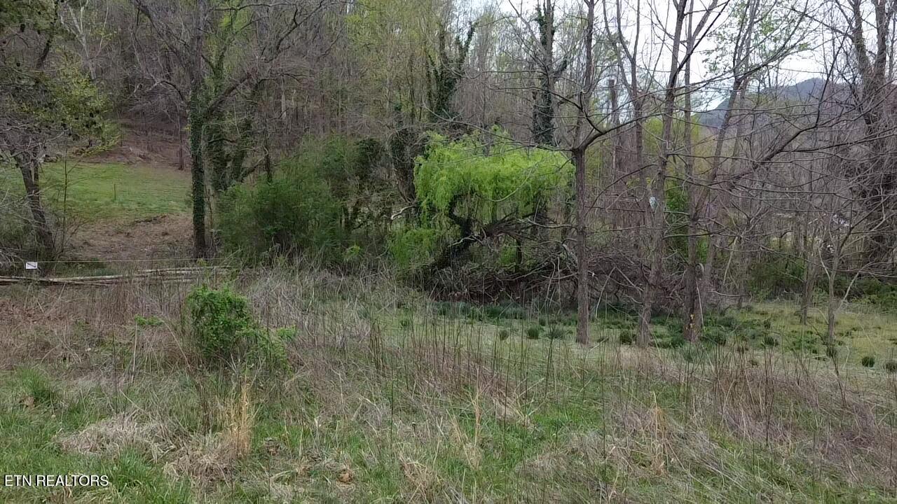 Lot 10 Thomas Headrick Road Sevierville, TN 37862 - Photo 2 of 6 2025-04-03-11-07-55-556