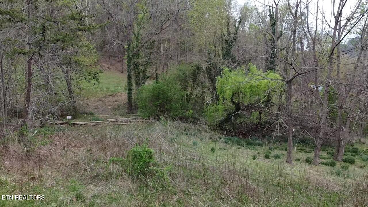 Lot 10 Thomas Headrick Road Sevierville, TN 37862 - Photo 3 of 6 2025-04-03-11-07-50-937
