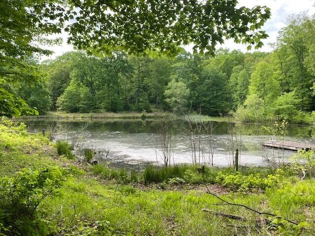 350 Stagecoach Road Sewanee, TN 37375 - Photo 1 of 25 5