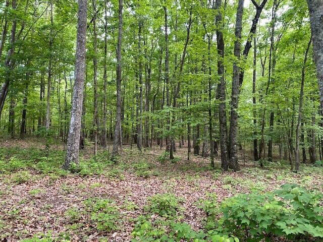 350 Stagecoach Road Sewanee, TN 37375 - Photo 11 of 25 15